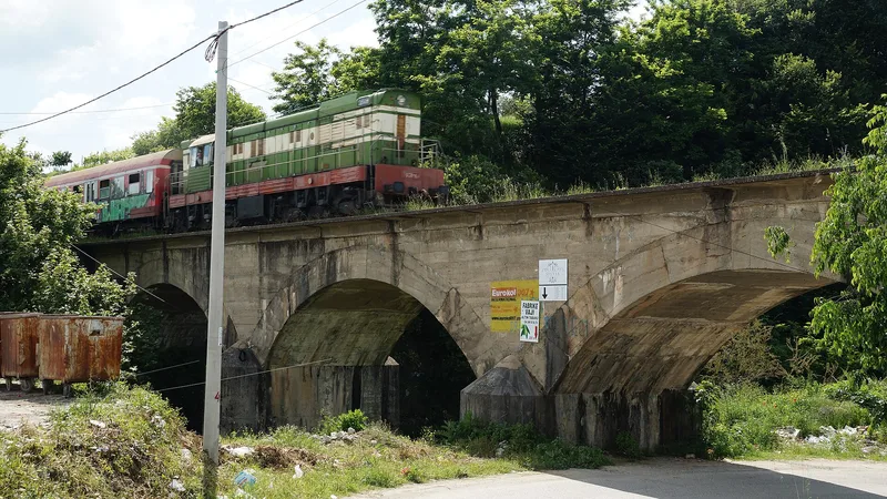 阳谷华象电缆有限公司